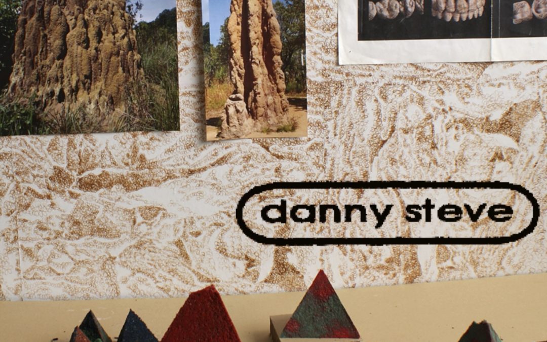 EXPOSITION DANNY STEVE – du 12 au 28 novembre 2019